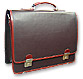 Leather Executive Bag5