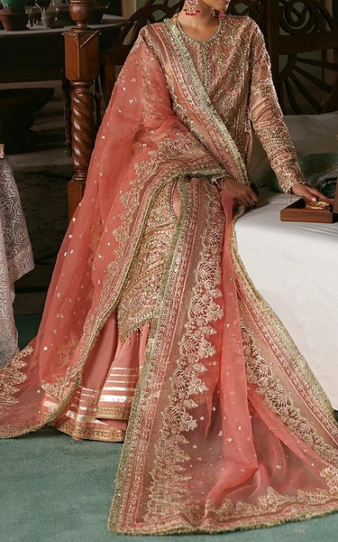 Afrozeh Pink Tissue Suit | Pakistani Embroidered Chiffon Dresses USA- Image 2