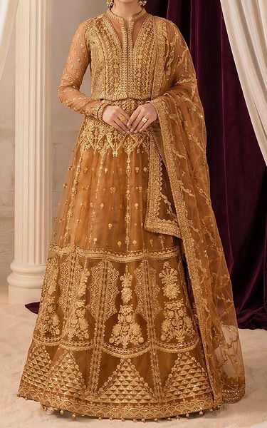 Aik Bronze Net Suit | Pakistani Embroidered Chiffon Dresses USA- Image 1
