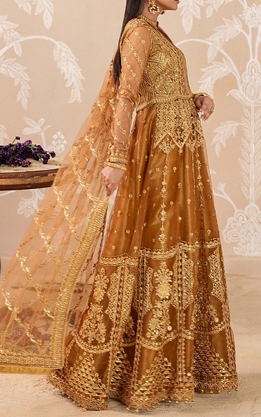 Aik Bronze Net Suit | Pakistani Embroidered Chiffon Dresses USA- Image 2