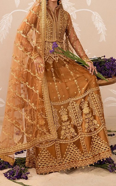 Aik Bronze Net Suit | Pakistani Embroidered Chiffon Dresses USA- Image 3