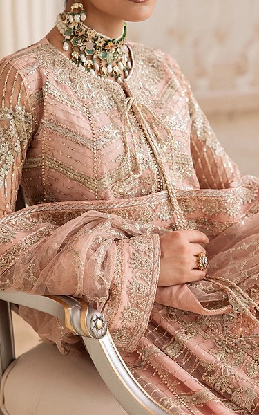 Aik Light Pink Net Suit | Pakistani Embroidered Chiffon Dresses USA- Image 2