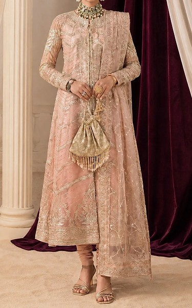 Aik Light Pink Net Suit | Pakistani Embroidered Chiffon Dresses USA- Image 3