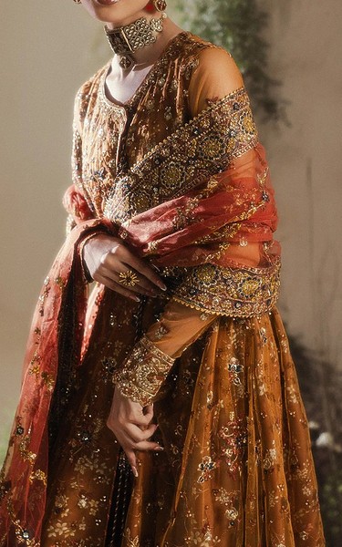 Aik Dull Orange Net Suit | Pakistani Embroidered Chiffon Dresses USA- Image 2