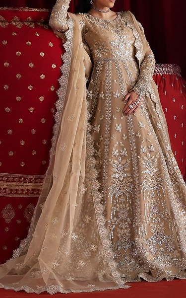 Akbar Aslam Fawn Organza Suit | Pakistani Embroidered Chiffon Dresses USA- Image 2
