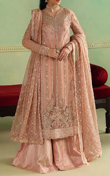 Akbar Aslam Pink Net Suit | Pakistani Embroidered Chiffon Dresses USA- Image 2