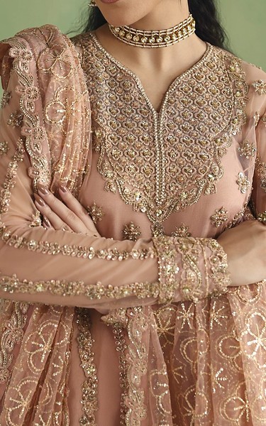 Akbar Aslam Pink Net Suit | Pakistani Embroidered Chiffon Dresses USA- Image 3