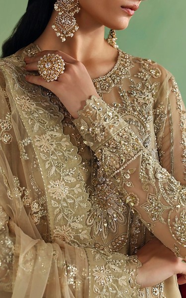 Akbar Aslam Fawn Net Suit | Pakistani Embroidered Chiffon Dresses USA- Image 2