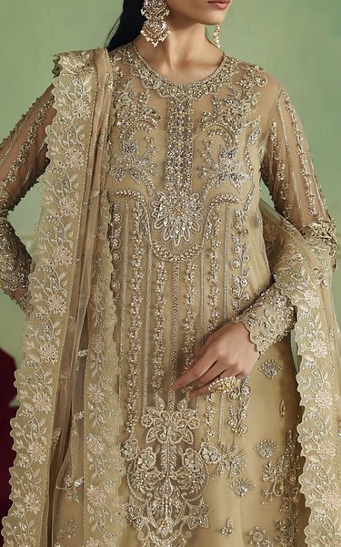 Akbar Aslam Fawn Net Suit | Pakistani Embroidered Chiffon Dresses USA- Image 3