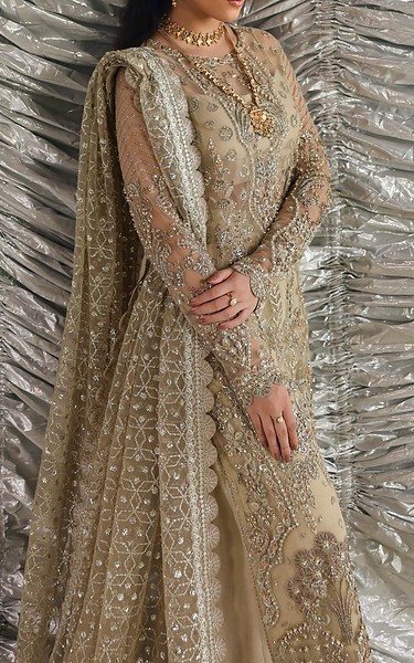 Akbar Aslam Beige Net Suit | Pakistani Embroidered Chiffon Dresses USA- Image 2