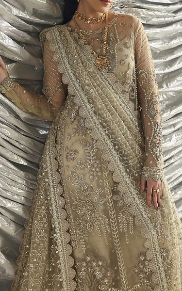 Akbar Aslam Beige Net Suit | Pakistani Embroidered Chiffon Dresses USA- Image 3