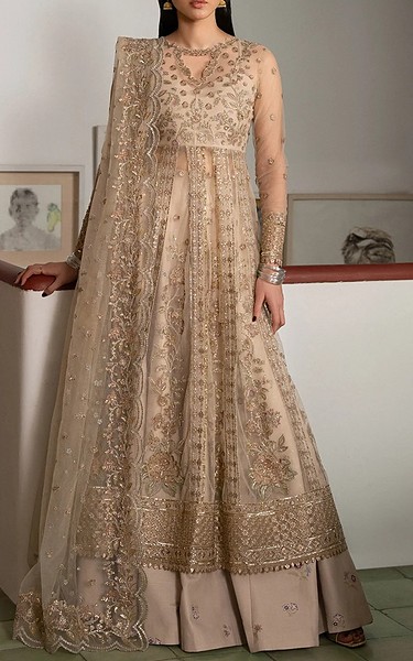 Ayzel Fawn Net Suit | Pakistani Embroidered Chiffon Dresses USA- Image 1