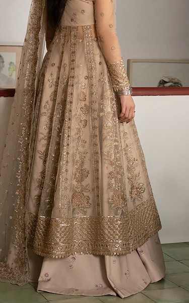 Ayzel Fawn Net Suit | Pakistani Embroidered Chiffon Dresses USA- Image 2