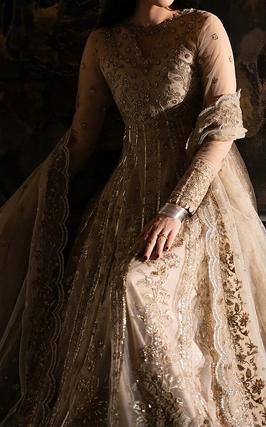 Ayzel Fawn Net Suit | Pakistani Embroidered Chiffon Dresses USA- Image 3