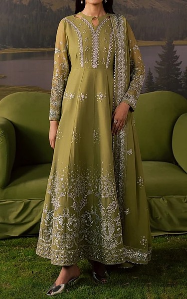 Daria Green Chiffon Suit | Pakistani Embroidered Chiffon Dresses USA- Image 1