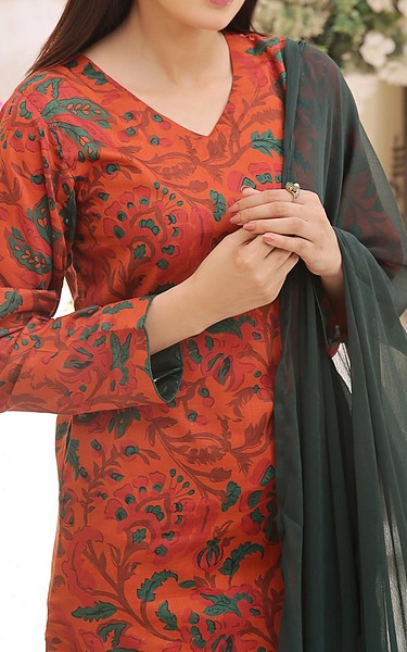 Feathers Pale Carmine Lawn Suit | Pakistani Lawn Dress in USA- Image 2