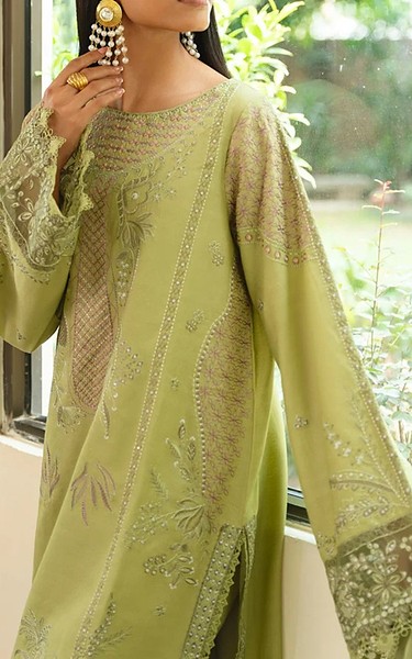 Marjjan Light Olive Karandi Suit | Pakistani Winter Dresses in USA- Image 2
