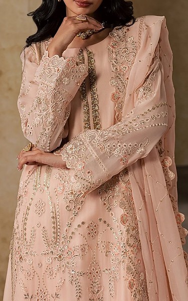 Maryum n Maria Pale Pink Chiffon Suit | Pakistani Embroidered Chiffon Dresses USA- Image 3