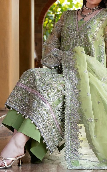 Motifz Mint Green Organza Suit | Pakistani Embroidered Chiffon Dresses USA- Image 3