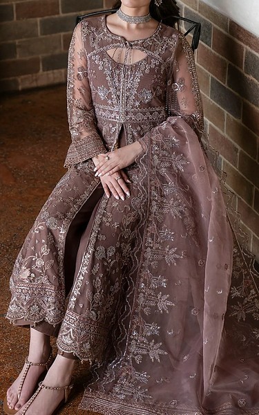 Motifz Tea Pink Net Suit | Pakistani Embroidered Chiffon Dresses USA- Image 2