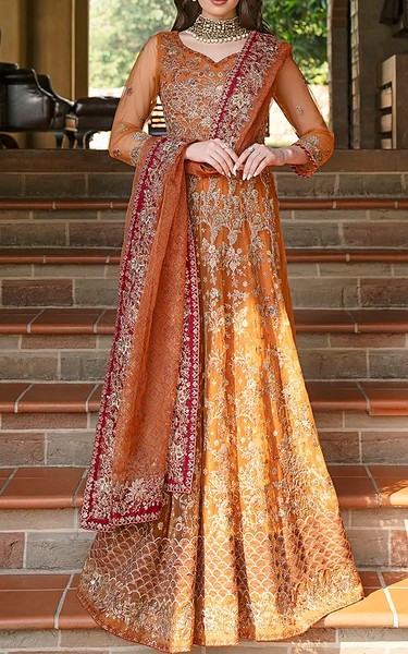 Motifz Rust Net Suit | Pakistani Embroidered Chiffon Dresses USA- Image 1