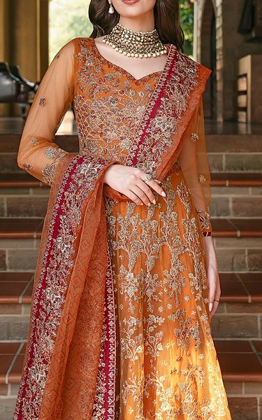 Motifz Rust Net Suit | Pakistani Embroidered Chiffon Dresses USA- Image 2