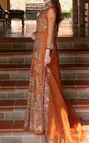 Motifz Rust Net Suit | Pakistani Embroidered Chiffon Dresses USA- Image 3