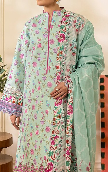 Rajbari Mint Green Lawn Suit | Pakistani Lawn Dress in USA- Image 2