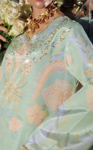 Rang Rasiya Summer Green Raw Silk Suit | Pakistani Embroidered Chiffon Dresses USA- Image 2