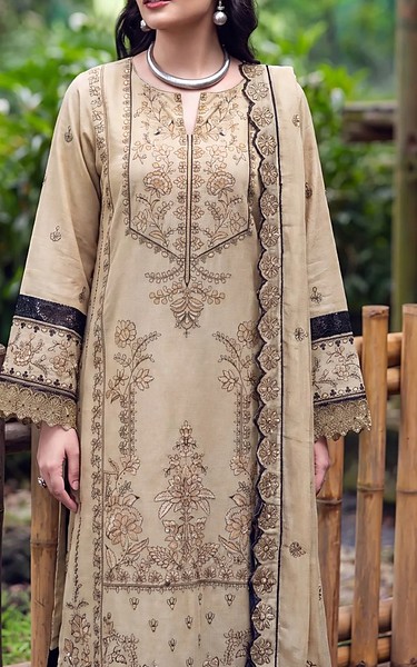 Safwa Beige Karandi Suit | Pakistani Winter Dresses in USA- Image 2