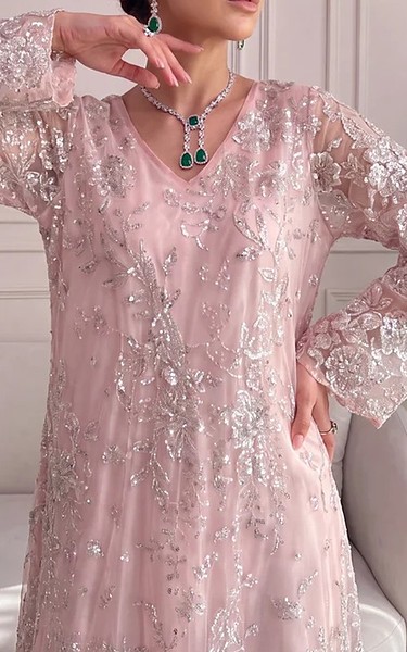 Threads and Motifs Blush Pink Net Suit | Pakistani Embroidered Chiffon Dresses USA- Image 2