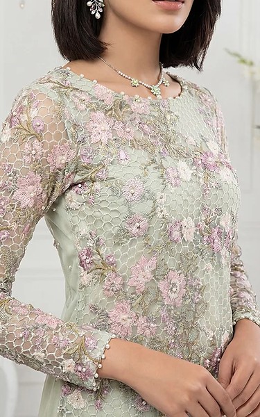 Threads and Motifs Light Green Net Suit | Pakistani Embroidered Chiffon Dresses USA- Image 2