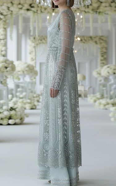 Threads and Motifs Grey Net Suit | Pakistani Embroidered Chiffon Dresses USA- Image 3