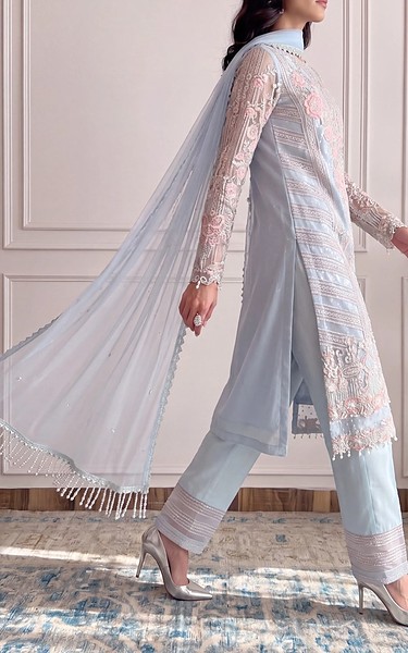 Threads and Motifs Baby Blue Net Suit | Pakistani Embroidered Chiffon Dresses USA- Image 3