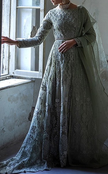 Threads and Motifs Pistachio Green Net Suit | Pakistani Embroidered Chiffon Dresses USA- Image 1