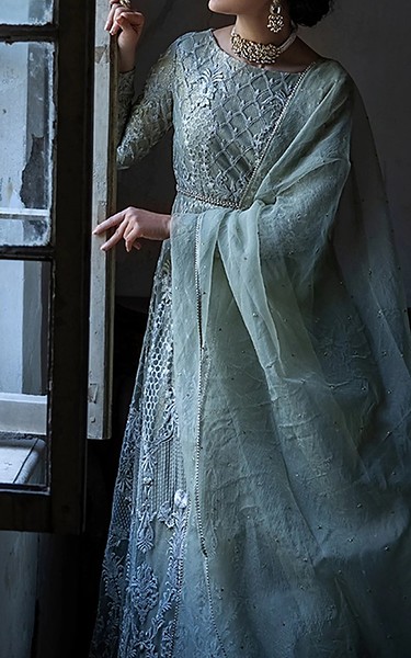 Threads and Motifs Pistachio Green Net Suit | Pakistani Embroidered Chiffon Dresses USA- Image 2