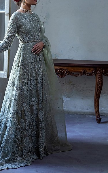 Threads and Motifs Pistachio Green Net Suit | Pakistani Embroidered Chiffon Dresses USA- Image 3