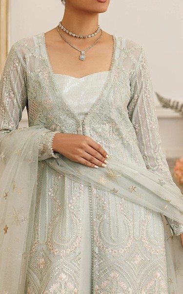 Threads and Motifs Light Turquoise Net Suit | Pakistani Embroidered Chiffon Dresses USA- Image 1