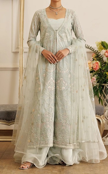 Threads and Motifs Light Turquoise Net Suit | Pakistani Embroidered Chiffon Dresses USA- Image 3