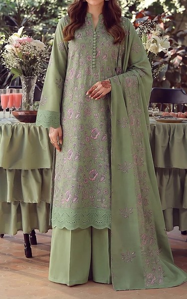 VS Textile Sage Green Karandi Suit | Pakistani Winter Dresses in USA- Image 1