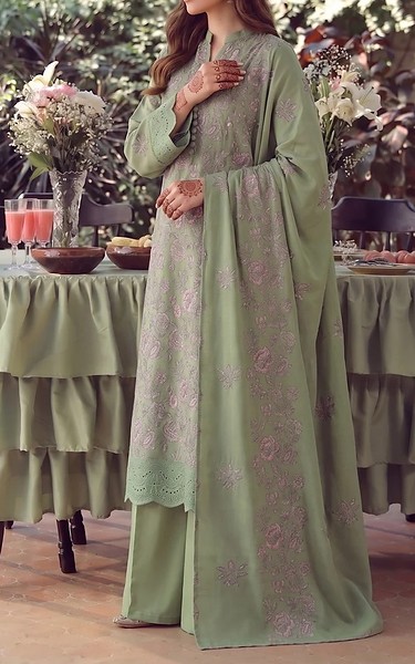 VS Textile Sage Green Karandi Suit | Pakistani Winter Dresses in USA- Image 2