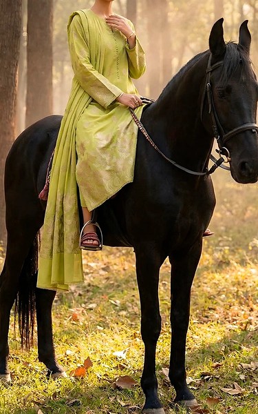 VS Textile Lime Jacquard Suit | Pakistani Lawn Dress in USA- Image 2