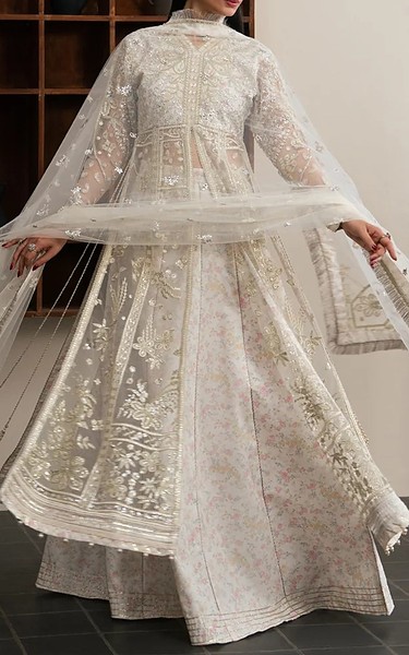Xenia Off White Net Suit | Pakistani Embroidered Chiffon Dresses USA- Image 1