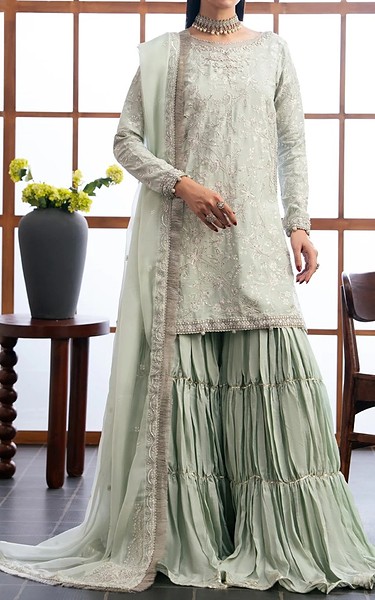 Xenia Light Grey Raw Silk Suit | Pakistani Embroidered Chiffon Dresses USA- Image 3