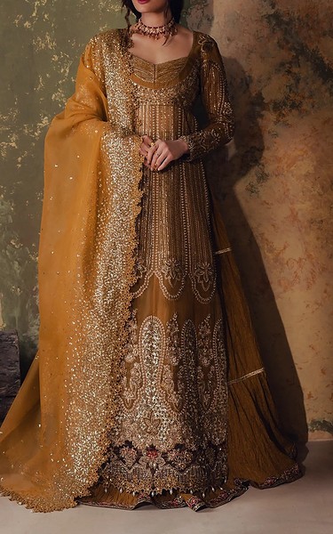 Zarposh Golden Organza Suit | Pakistani Embroidered Chiffon Dresses USA- Image 1