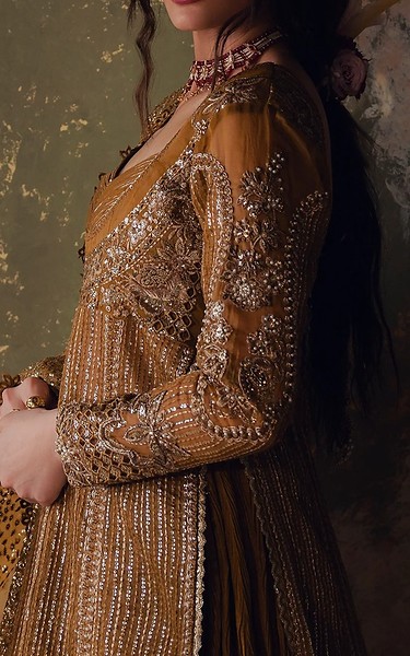 Zarposh Golden Organza Suit | Pakistani Embroidered Chiffon Dresses USA- Image 3