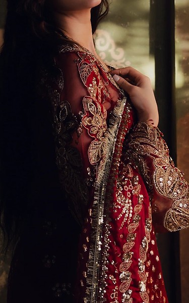 Zarposh Maroon Organza Suit | Pakistani Embroidered Chiffon Dresses USA- Image 3