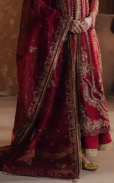 Zarposh Vivid Burgundy Organza Suit | Pakistani Embroidered Chiffon Dresses USA- Image 3