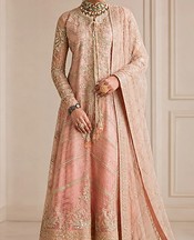 Light Pink Net Suit