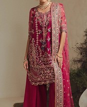 Dark Pink Organza Suit